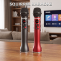 SQUIRREL Rechargeable Wireless Karaoke Microphone